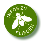 NK - Info Fliegen